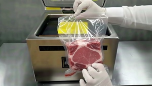 Почему не вакуумирует вакуумный упаковщик